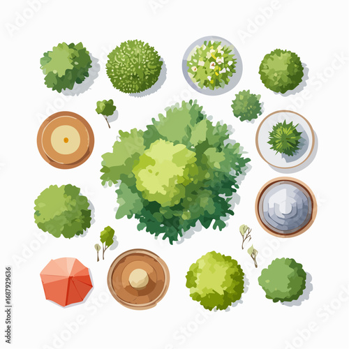 Collection of Aerial Watercolor Illustrations of Trees for Landscape and Architectural Design Planning