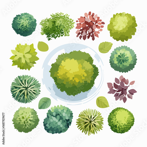 Collection of Aerial Watercolor Illustrations of Trees for Landscape and Architectural Design Layouts