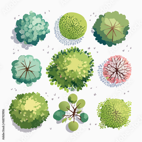 Collection of Aerial View Watercolor Trees for Landscape Design and Architectural Planning