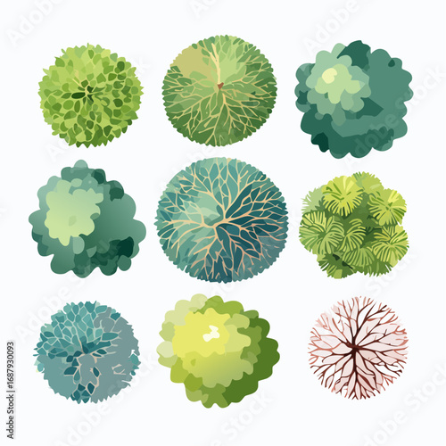 Collection of Aerial Watercolor Tree Illustrations for Landscape and Architectural Design Layouts