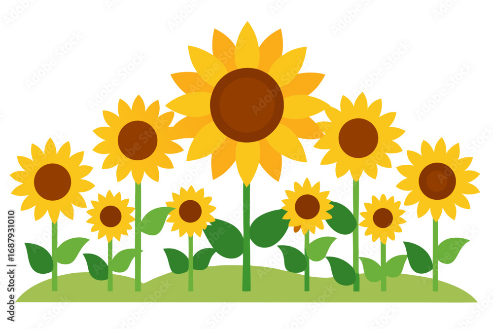 Obraz premium sunflowers on a white background