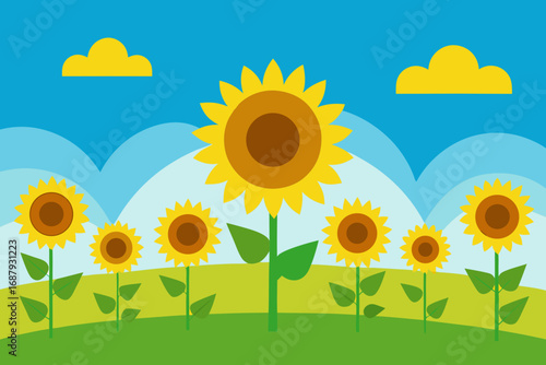 sunflower and sunflowers