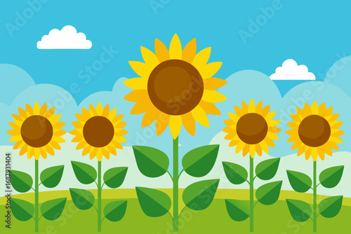 sunflower on the field