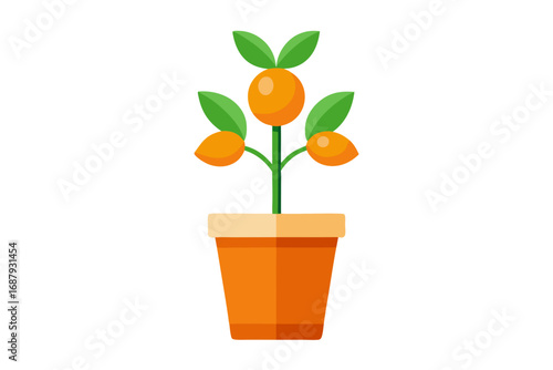 flower in a pot