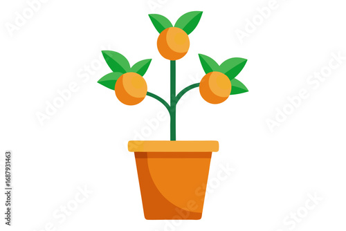 orange flower in a pot