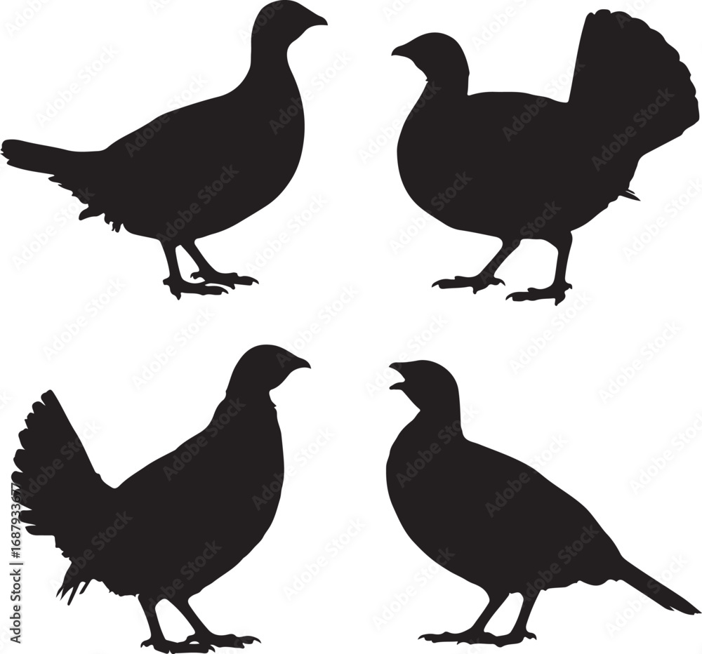 Fototapeta premium Four black silhouettes of game birds grouse quail