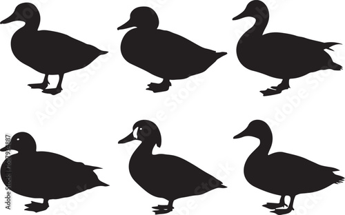 Six black duck silhouettes standing bird waterfowl