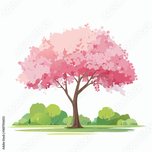 Vector watercolor blooming flower tree or cherry blossom side view isolated on white background for landscape and architecture drawing,elements for environment and garden,Sakura tree for secti