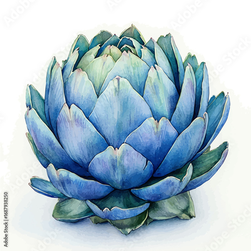 watercolor of Artichoke, vector, isolated on a white background.