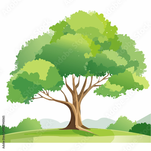 Vector watercolor green tree or fren side view isolated on white background for landscape and architecture drawing,elements for environment or and garden,Shrub for .