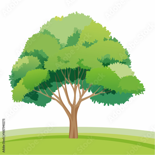 Vector watercolor green tree or fren side view isolated on white background for landscape and architecture drawing,elements for environment or and garden,Shrub for .