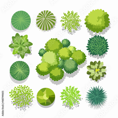 Vector set of Top view green tree for outdoor plan or map and architecture drawing, elements for environment and garden ,botanical elements