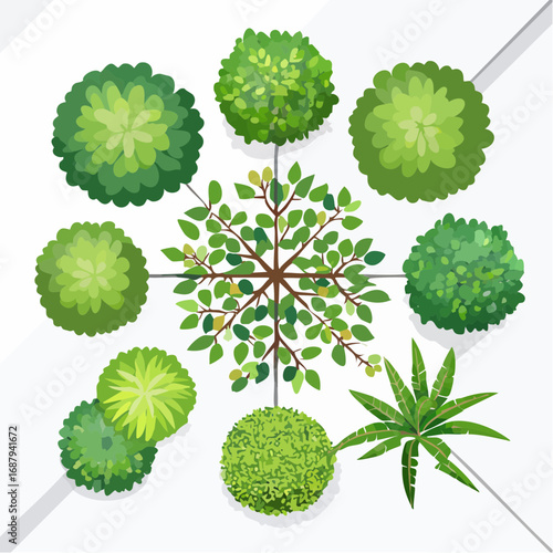 Vector set of Top view green tree for outdoor plan or map and architecture drawing, elements for environment and garden ,botanical elements