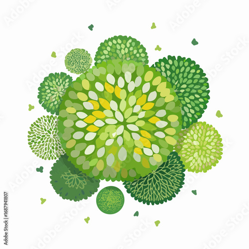 Vector set of Top view green tree for outdoor plan or map and architecture drawing, elements for environment and garden ,botanical elements