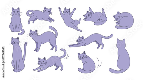 Playful Feline Poses: A charming collection of artistic cat illustrations in various poses, showcasing the whimsical and graceful nature of domestic feline. 
