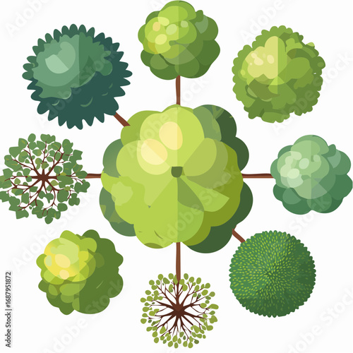 set of tree top view for landscape plan and architecture element