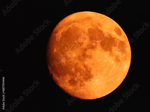 full moon in the night