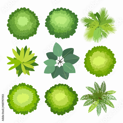 Vector set of tropical green tree top view isolated on white background for landscape plan and architecture drawing, elements for environment and gard