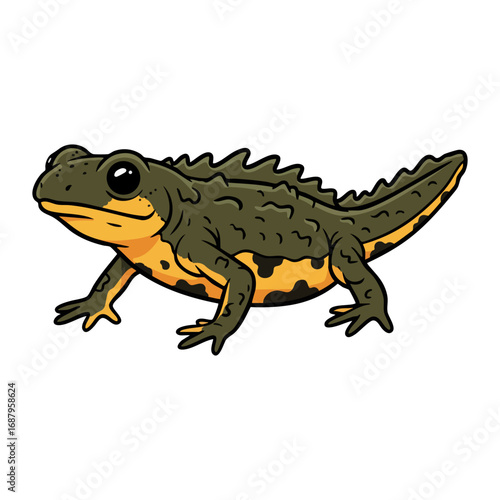 great crested newt vector illustration