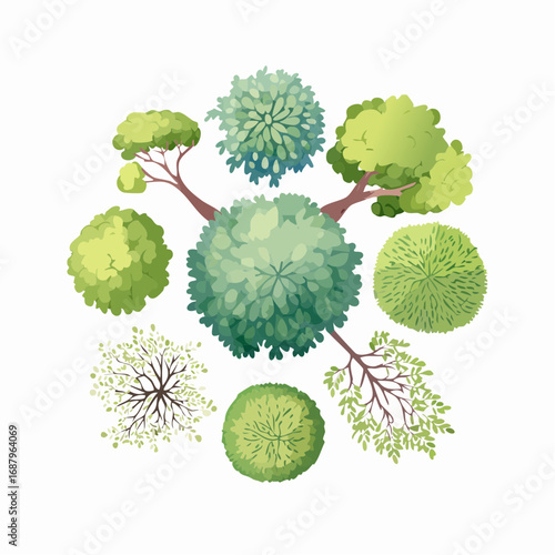 set of watercolor tree top view isolated for landscape plan and architecture element