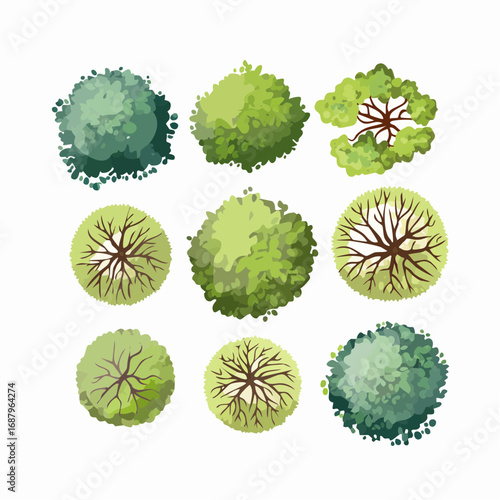 set of watercolor tree top view isolated for landscape plan and architecture element