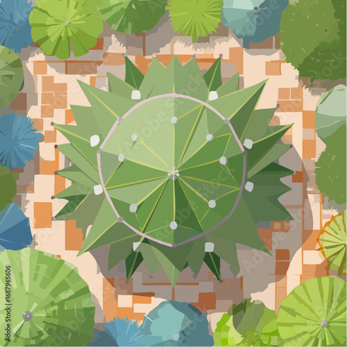 cactus top view for landscape plan and architecture element or decorative,tropical garden