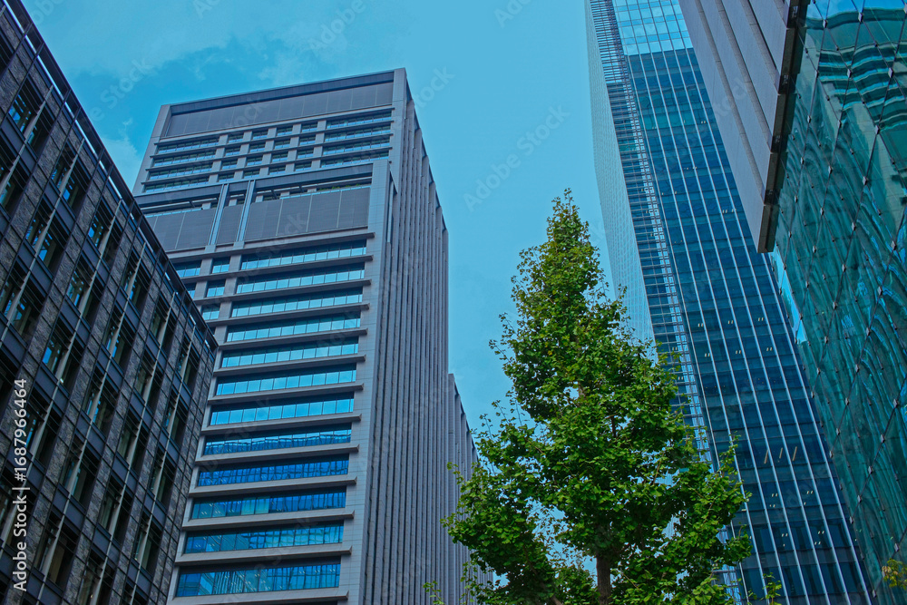 Fototapeta premium 高層ビル オフィス街