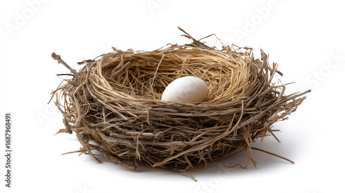 Beautiful natural bird nest with delicate egg showcasing wildlife habitat outdoor environment rustic scenery ecological harmony and peaceful rural scenery