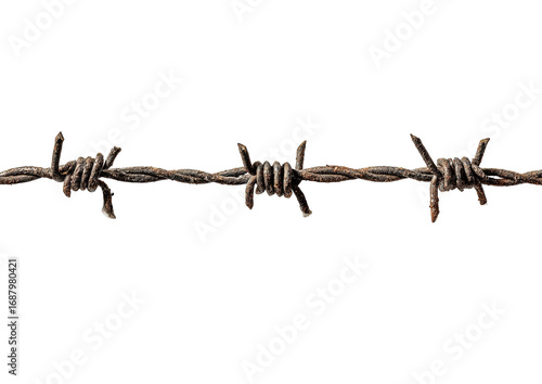 Wallpaper Mural Rusty barbed wire, isolated on black Torontodigital.ca