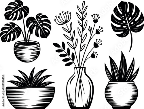 Black and white stylized illustration of potted plants and flowers in a vase monstera