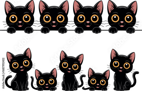 Cute black cats with big orange eyes peeking over a white line kitten animal