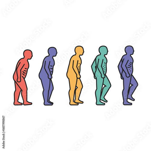 stages of posture changes shows curvature as a health infographic for medical reference and educational materials