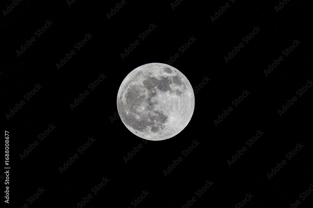 Naklejka premium full moon in the night