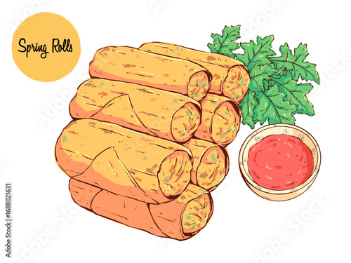 tasty Spring rolls with chili sauce vector illustration. hand drawn asian spring rolls