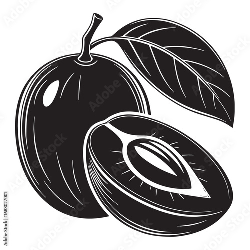 Black mamey sapote Silhouette Vector, High Quality Illustration on White Background
