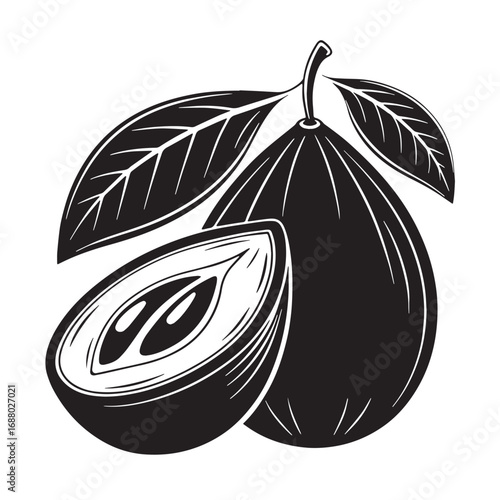 Black mamey sapote Silhouette Vector, High Quality Illustration on White Background