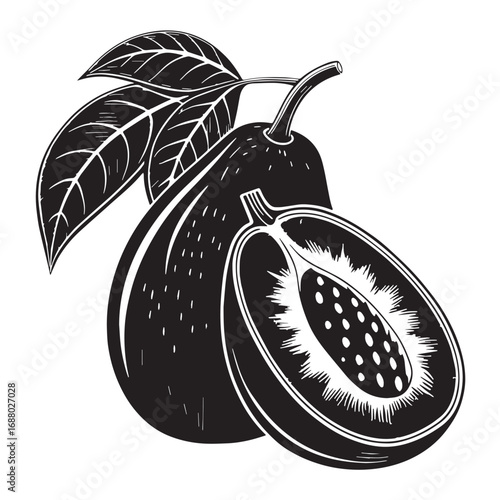 Black mamey sapote Silhouette Vector, High Quality Illustration on White Background