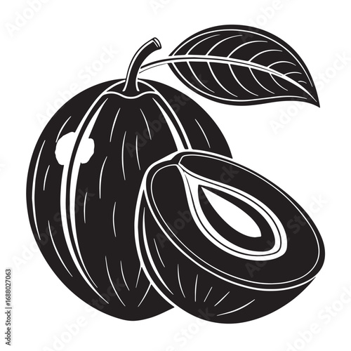 Black mamey sapote Silhouette Vector, High Quality Illustration on White Background