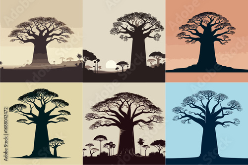 vector illustration set of giant baobab trees