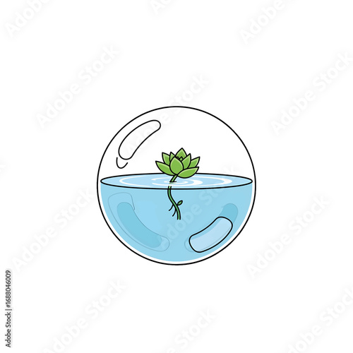 Circular Glass Terrarium with Water and Green Succulent on White Background