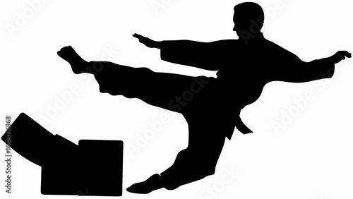 Silhouette of a karate practitioner performing a kick over a wooden board in a martial arts demonstration