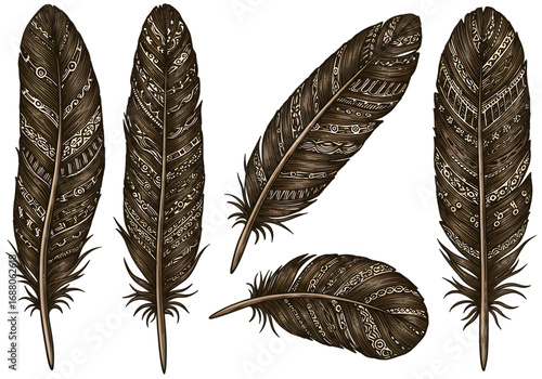 Isolated Feathers Illustration on Transparent Background Graphic Art