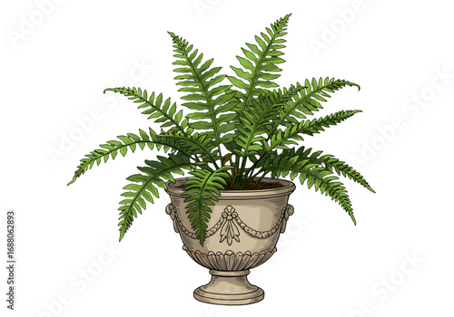 Isolated Fern Plant In Decorative Pot On Transparent Background Illustration