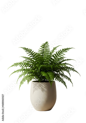Isolated Fern Plant in White Pot on Black Background Realistic Photo