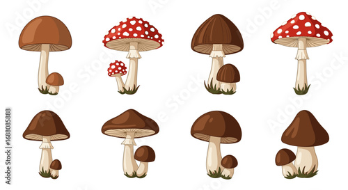 A whimsical collection of diverse forest fungi featuring various shapes and sizes adorned with earthy tones and red and white patterns