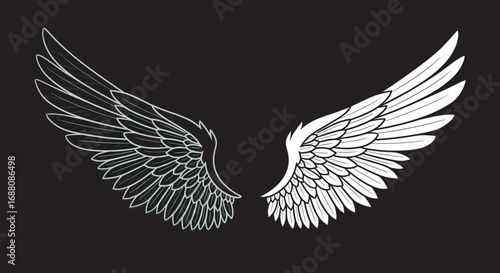Symbolic representation of duality through contrasting wing designs in white and black