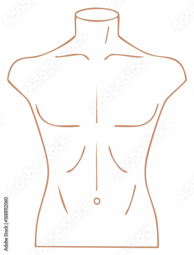 Anatomical Illustration of a Male Torso Outline, Abstract Human Body Art, Fashion Design Drawing, Body Contours