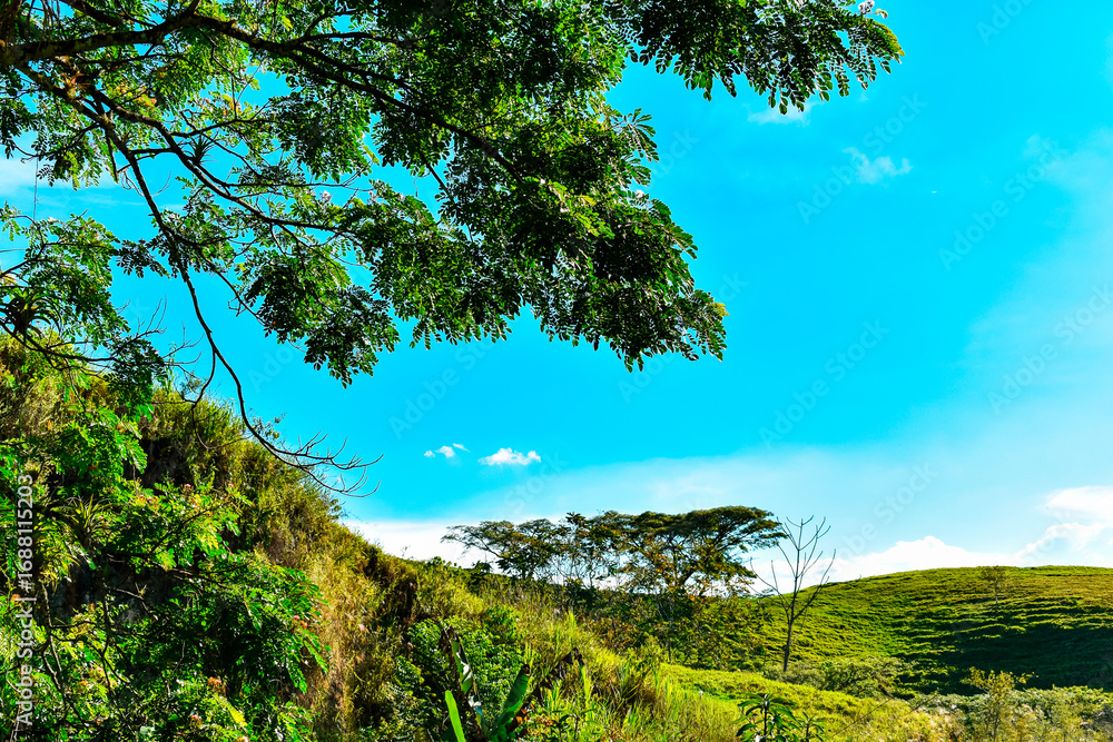 Obraz premium Paisaje verde de naturaleza tropical