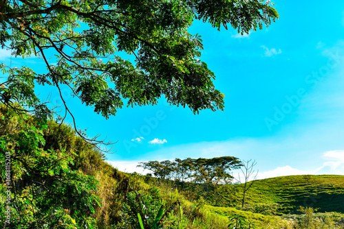Paisaje verde de naturaleza tropical