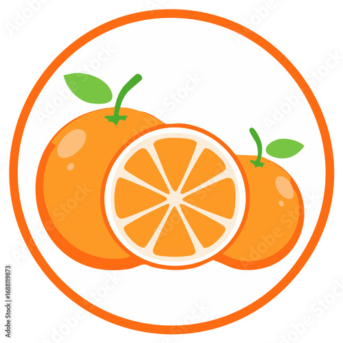 Orange fruit icon, with circle frame. Isolated vector illustration of citrus in a stylized form.